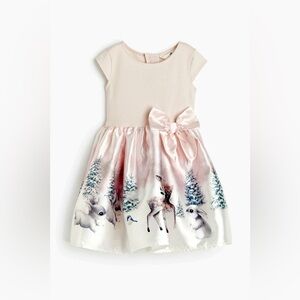 H&M winter dress full skirt with wintry scene and animals - size 5T/6 - sweet